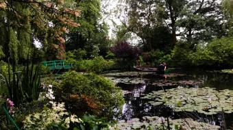 Mone nilufarlari / Klod Mone: Suv va yorug‘lik sehri 2018 Uzbek tilida O'zbekcha tarjima kino Full HD tas-ix skachat skrinshot 4