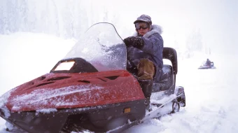 Ziddi-zahar / D-Tox Uzbek tilida 2001 O'zbekcha tarjima film Full HD skachat skrinshot 3