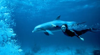 Zevs va Roksana Uzbek tilida 1997 O'zbekcha tarjima film Full HD skachat skrinshot 3