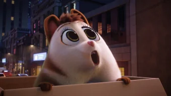 Momiqvoylar / Poncharlar. Global yaxlitlash multfilm 2020 O'zbek tarjima kino HD skrinshot 2