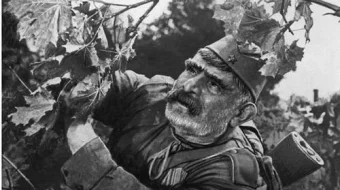 Soldat otasi Uzbek tilida 1964 O'zbekcha tarjima kino HD skrinshot 3