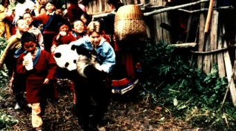 Pandaning ajoyib sarguzashtlari Uzbek tilida 1995 O'zbekcha tarjima film Full HD skachat skrinshot 1