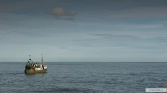 Dengiz parazitlari Uzbek tilida 2019 O'zbek tarjima tas-ix skachat skrinshot 3