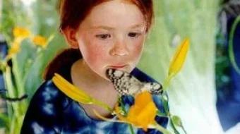 Kapalak Uzbek tilida 2002 O'zbekcha tarjima film Full HD skachat skrinshot 1