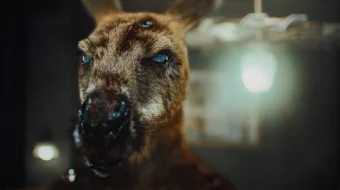 Zombi kenguru ujas kino Uzbek tilida 2024 O'zbekcha tarjima film Full HD skachat skrinshot 4