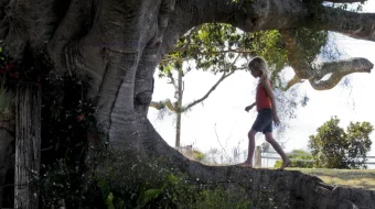 Daraxt Uzbek tilida 2010 O'zbekcha tarjima kino HD skrinshot 1