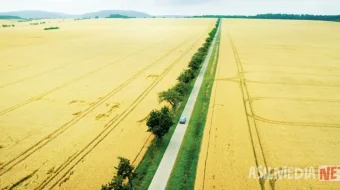 Xayr, Berlin! Germaniya filmi Uzbek tilida O'zbekcha 2016 tarjima kino Full HD tas-ix skachat skrinshot 2