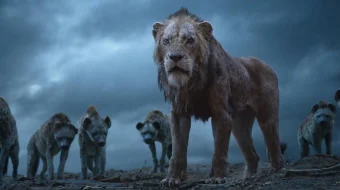 Qirol Sher / Король Лев 2019 HD tas-ix skachat скачать skrinshot 2