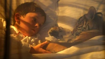 Ikki aka-uka Uzbek tilida 2004 O'zbekcha tarjima film Full HD skachat skrinshot 1