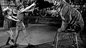 Sariq chamadon sarguzashtlari Mosfilm SSSR kinosi Uzbek tilida 1970 O'zbekcha tarjima kino HD skrinshot 2