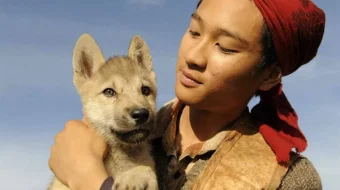 Bo'ri Uzbek tilida 2009 O'zbekcha tarjima film Full HD skachat skrinshot 1