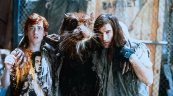 Ninzya toshbaqalar 1 Uzbek tilida 1990 O'zbekcha tarjima kino HD skrinshot 4