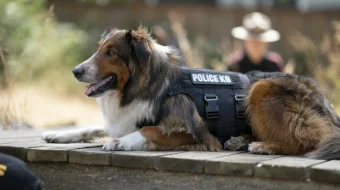 Haloskor Rubi Uzbek tilida 2022 O'zbekcha tarjima kino HD skrinshot 1