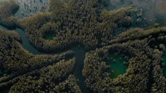 Sirli Kaddo ko'li Uzbek tilida 2024 O'zbekcha tarjima kino HD skrinshot 2