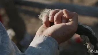 Chavandoz / Otliq 2017 Uzbek tilida O'zbekcha tarjima kino Full HD tas-ix skachat skrinshot 1