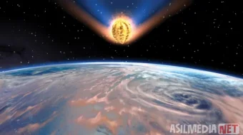 Bizning Masha va sehrli yong'oq Multfilm Uzbek tilida O'zbekcha 2009 tarjima kino Full HD tas-ix skachat skrinshot 1