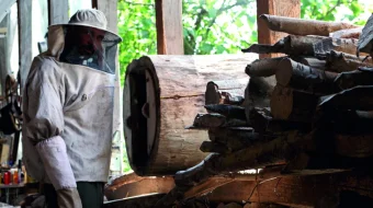 Asal / Bol Turk Kino O'zbek tilida 2010 Uzbekcha tarjima skrinshot 4