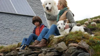 Bell va Sebastyan 4 Uzbek tilida 2022 O'zbekcha tarjima kino HD skrinshot 1