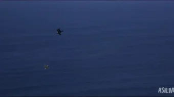 Oqcharloq Jonatan Livingston 1973 Uzbek tilida O'zbekcha tarjima kino Jonatan va chag'alaylar galasi Full HD tas-ix skachat skrinshot 4