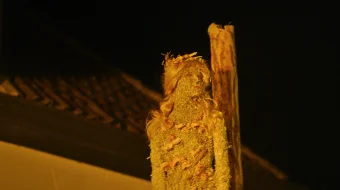 Moloch Ujas kino Uzbek tilida 2023 O'zbekcha tarjima kino HD skrinshot 1