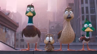 Ko'chish / Migratsiya Multfilm Uzbek tilida 2023 O'zbekcha tarjima HD skrinshot 1