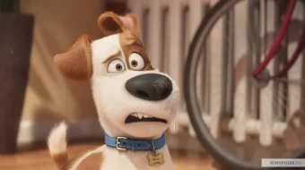 Uy hayvonlarining sirli hayoti 1 Multfilm Uzbek tilida 2016 HD O'zbek tarjima tas-ix skachat skrinshot 2