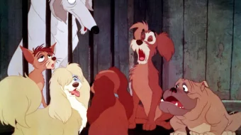 Lessi va daydi it Uzbek tilida multfilm 1955 O'zbek tarjima kino HD skrinshot 3