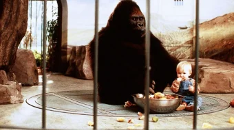 Sayrga chiqqan go'dak Uzbek tilida 1994 O'zbekcha tarjima kino HD skrinshot 2