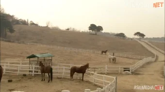 Efir sirlari Janubiy Koreya Serial 2008 Barcha qismlar! Uzbek tilida O'zbekcha tarjima kino Full HD tas-ix skachat skrinshot 4