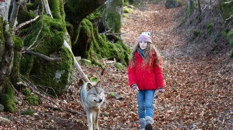 Mening Bo'rim / Bo'ri do'stim Fransiya filmi Uzbek tilida 2022 yil premyera kino O'zbekcha tarjima kino HD skrinshot 1