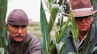 Keksa Arslonlar Uzbek tilida 2003 O'zbekcha tarjima film Full HD skachat skrinshot 1