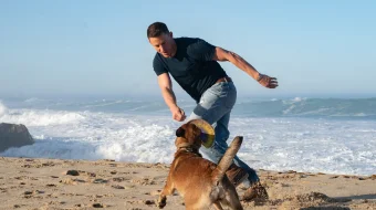 Lulu va Briggs / it / Ko'ppak/ Kuchuk Uzbek tilida 2021 O'zbekcha tarjima film Full HD skachat skrinshot 2