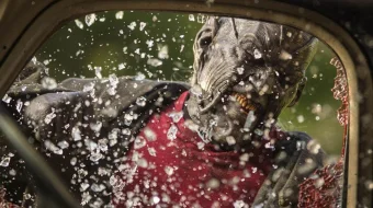 Jipers Kripers 3 ujas film Uzbek tilida 2017 O'zbekcha tarjima film Full HD skachat skrinshot 1