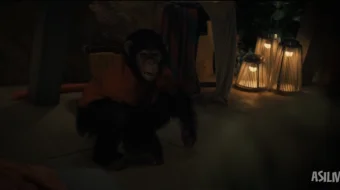 Quturgan maymun / Primat 2025 Uzbek tilida O'zbekcha tarjima kino Full HD tas-ix skachat skrinshot 1