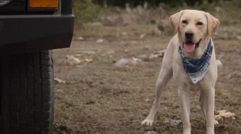 Vaqt tuzog'i Uzbek tilida 2017 O'zbekcha tarjima kino HD skrinshot 1