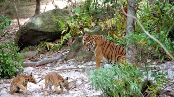 Ikki aka-uka Uzbek tilida 2004 O'zbekcha tarjima film Full HD skachat skrinshot 2