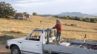 Daraxt Uzbek tilida 2010 O'zbekcha tarjima kino HD skrinshot 4