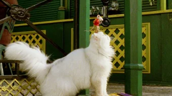 Styuart Littlning sarguzashtlari 2 Uzbek tilida kino / multfilm 2002 O'zbek tarjima kino HD skrinshot 4