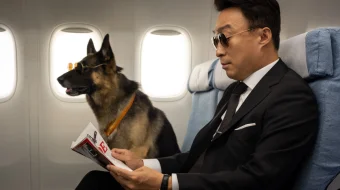 Миссия- Спасти панду 2020 Tas-ix skachat skrinshot 4