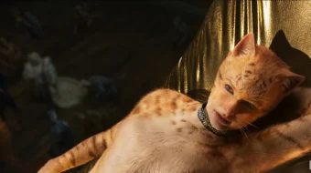 Кошки HD 2019 Tas-ix skachat skrinshot 3