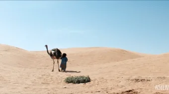 Sahro Farzandi / Bola va Tulki 2026 Uzbek tilida O'zbekcha tarjima kino Full HD Cho'l Bolasi Farzandi tas-ix skachat skrinshot 2