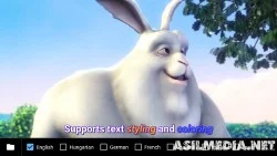 MX Player v1.9.16 (2018). skrinshot 1