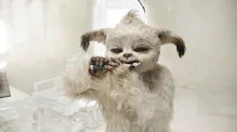 Yoko Uzbek tilida 2012 O'zbekcha tarjima film Full HD skachat skrinshot 3