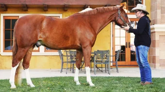 9 hayot / to'qqizta o'q Uzbek tilida 2022 O'zbekcha tarjima film Full HD skachat skrinshot 1