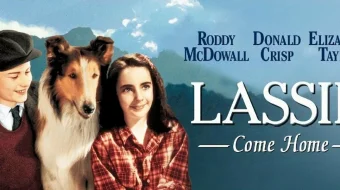 Lessi Uyga Qayt Uzbek tilida 1943 O'zbekcha tarjima kino HD skrinshot 1