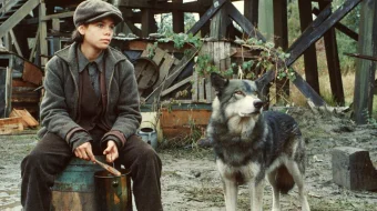 Natti Ganning Sayohati Uzbek tilida 1985 O'zbekcha tarjima film Full HD skachat skrinshot 3