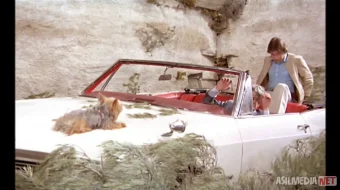 Qarag'ay daraxti / Daraxtga osilib Fransiya retro filmi 1971 Uzbek tilida O'zbekcha tarjima kino Full HD tas-ix skachat skrinshot 2