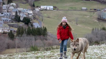 Mening Bo'rim / Bo'ri do'stim Fransiya filmi Uzbek tilida 2022 yil premyera kino O'zbekcha tarjima kino HD skrinshot 3