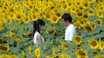 Hamisha Birga Yapon Filmi Uzbek tilida 2004 O'zbekcha tarjima kino HD skrinshot 1