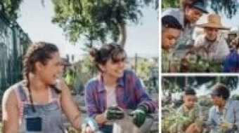 Facebook skrinshot 3